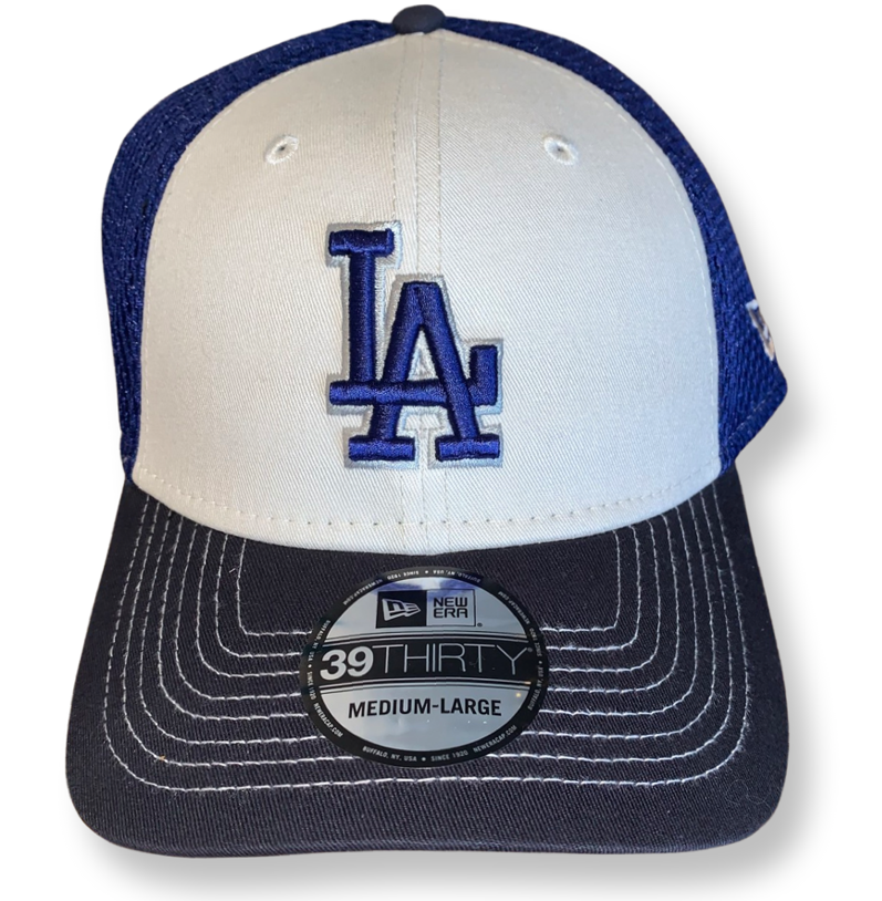  Los Angeles Dodgers New Era MLB Team Classic 39THIRTY