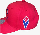 Atlanta Braves MLB Mitchell & Ness – Red Pro Retro Snapback Cap