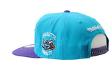 Charlotte Hornets NBA Mitchell & Ness - Media Day Snapback Cap