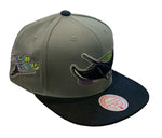 Tampa Bay Devil Rays MLB Mitchell and Ness Coop 2 Tone Snapback Cap