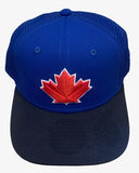 Toronto Blue Jays MLB New Era Alternate Two-Tone 9SEVENTY Cap