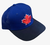 Toronto Blue Jays MLB New Era Alternate Two-Tone 9SEVENTY Cap