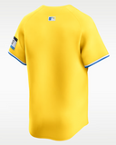 Boston Red Sox MLB Nike - City Connect Jersey
