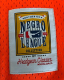 Detroit Stars Negro League - Full Button Front Jersey