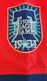 Philadelphia Stars Negro League - Pro Mesh Pullover Jersey