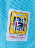 Los Angeles White Sox Negro League - Full Button Front Sky Blue Jersey