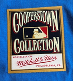 Los Angeles Dodgers MLB Mitchell & Ness Script Sweep Arch T-Shirt