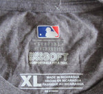 Minnesota Twins MLB Apparel - Charcoal T-Shirt